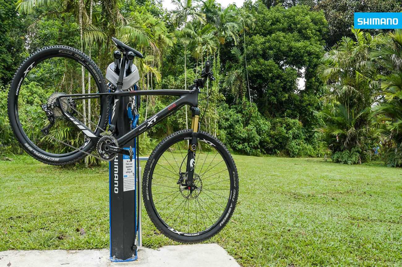 Shimano T15