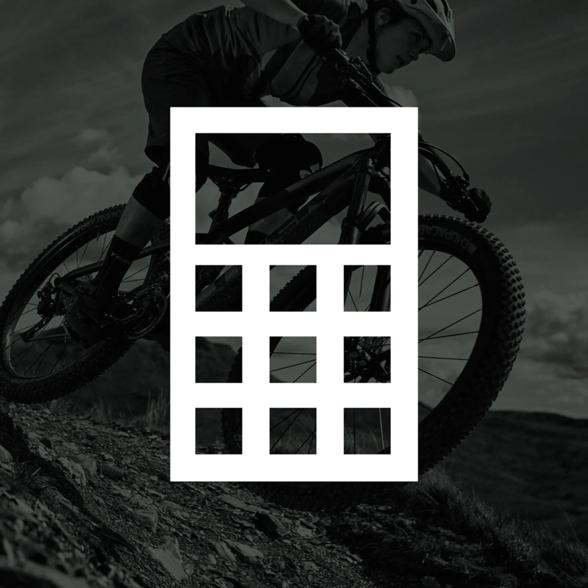 Editorial 990x1204 MTB BG Susp Stories 2017 1